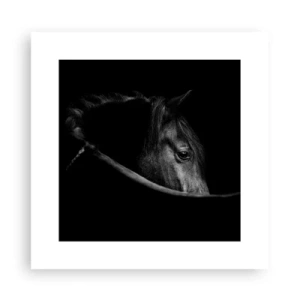 Poster - Il principe nero - 30x30 cm