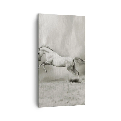 Quadro su tela - Stampe su Tela - Tra la veglia e il sonno, - 45x80 cm