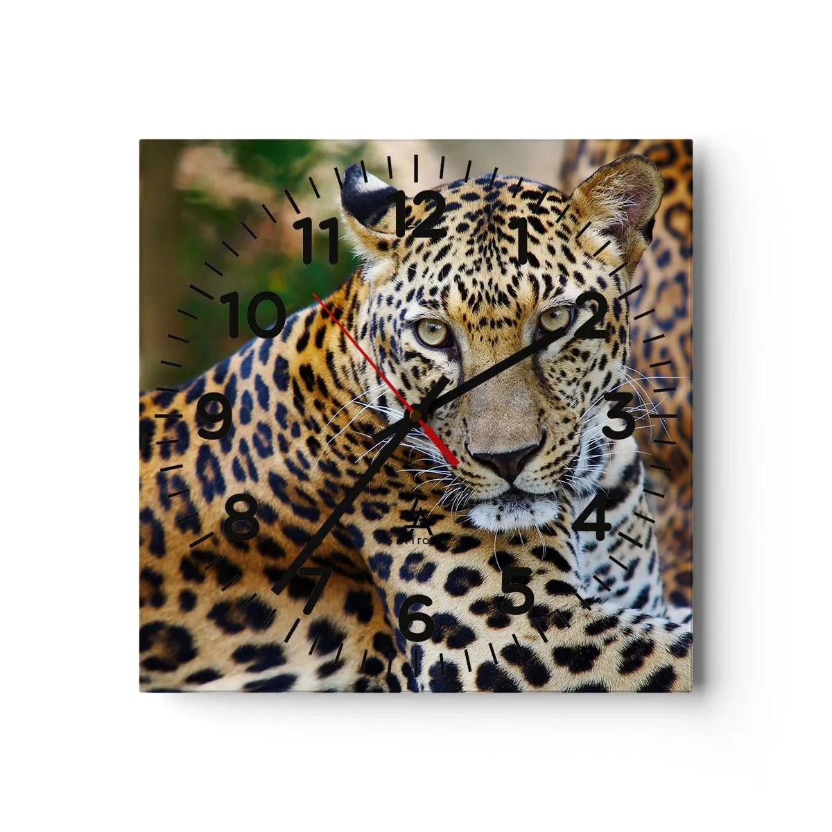 Orologio da parete - Orologio in Vetro - Selvaggio e tranquillo - 40x40 cm