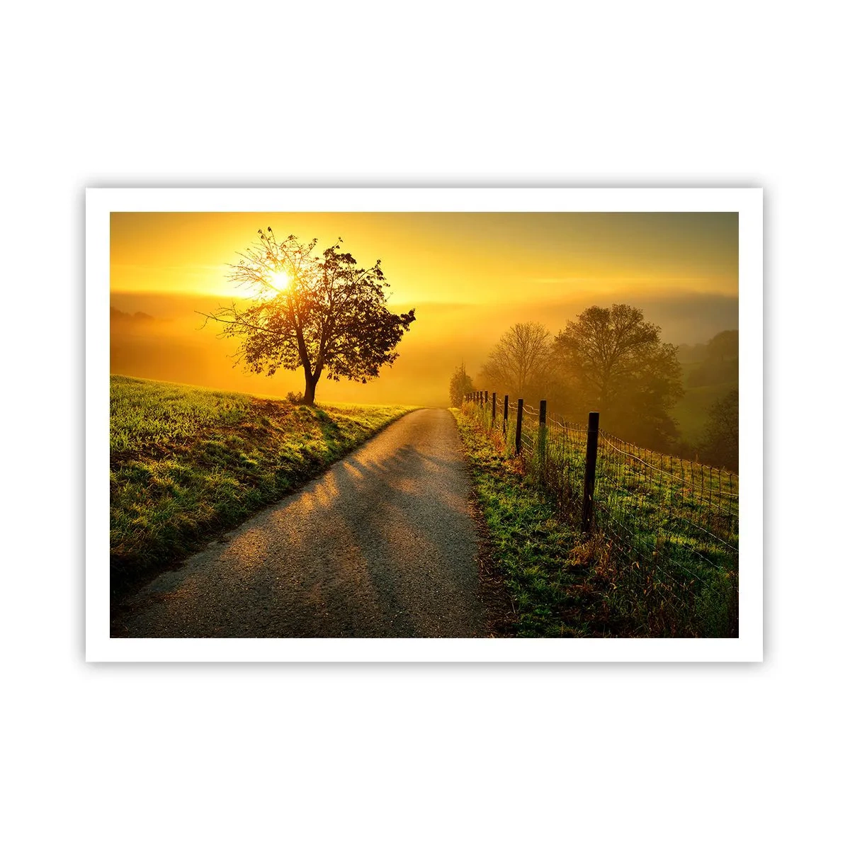Poster - Una strada pittoresca al tramonto con un albero solitario sullo sfondo - 100x70cm - Pomeriggio di miele - Decorazione murale moderna per soggiorno e camera da letto ARTTOR