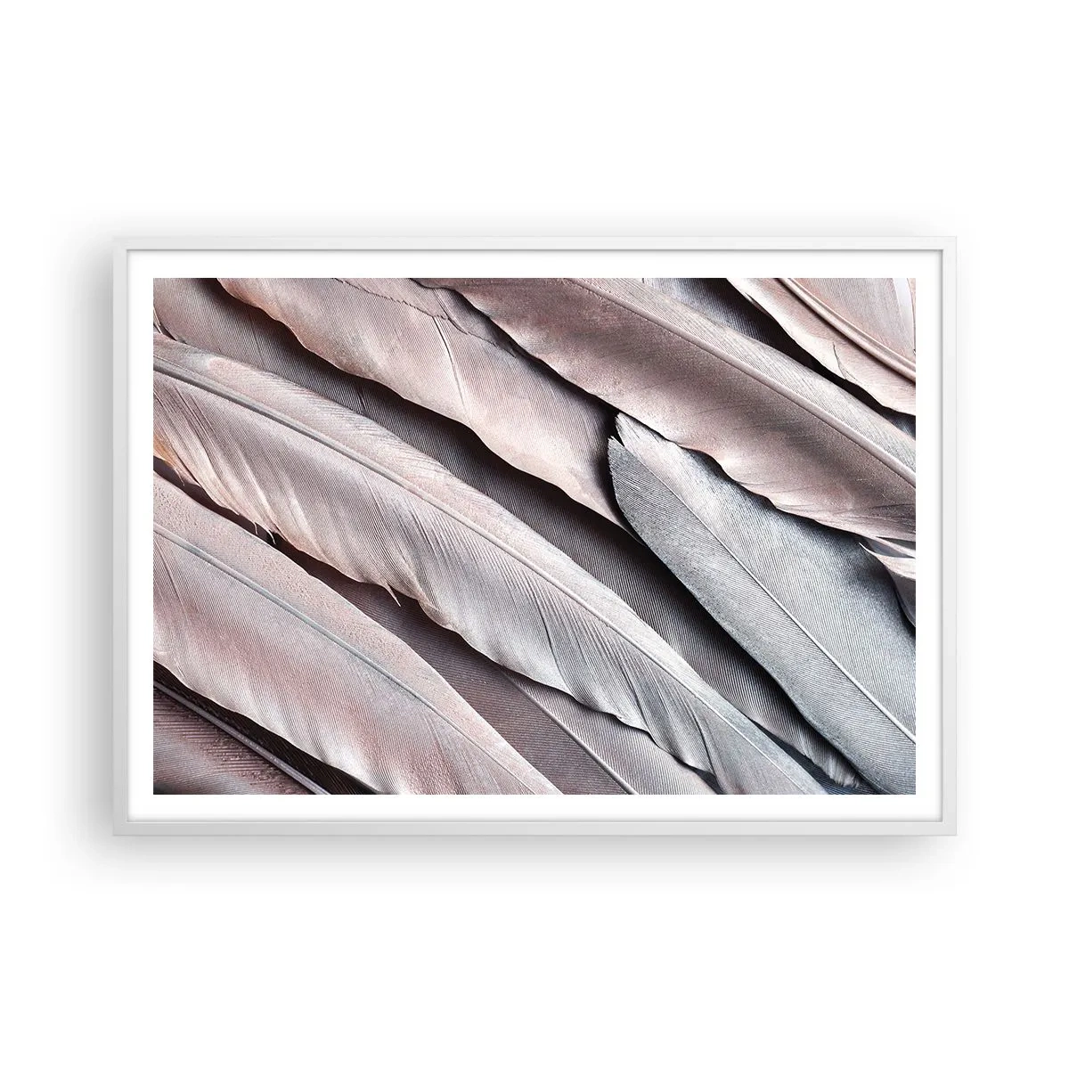 Poster in cornice bianca - Argento rosato - 100x70 cm