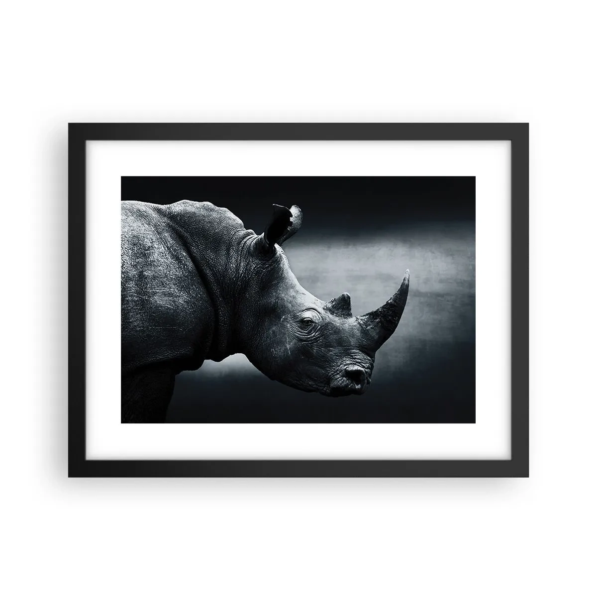 Poster in cornice nera - Profilo destro - 40x30 cm