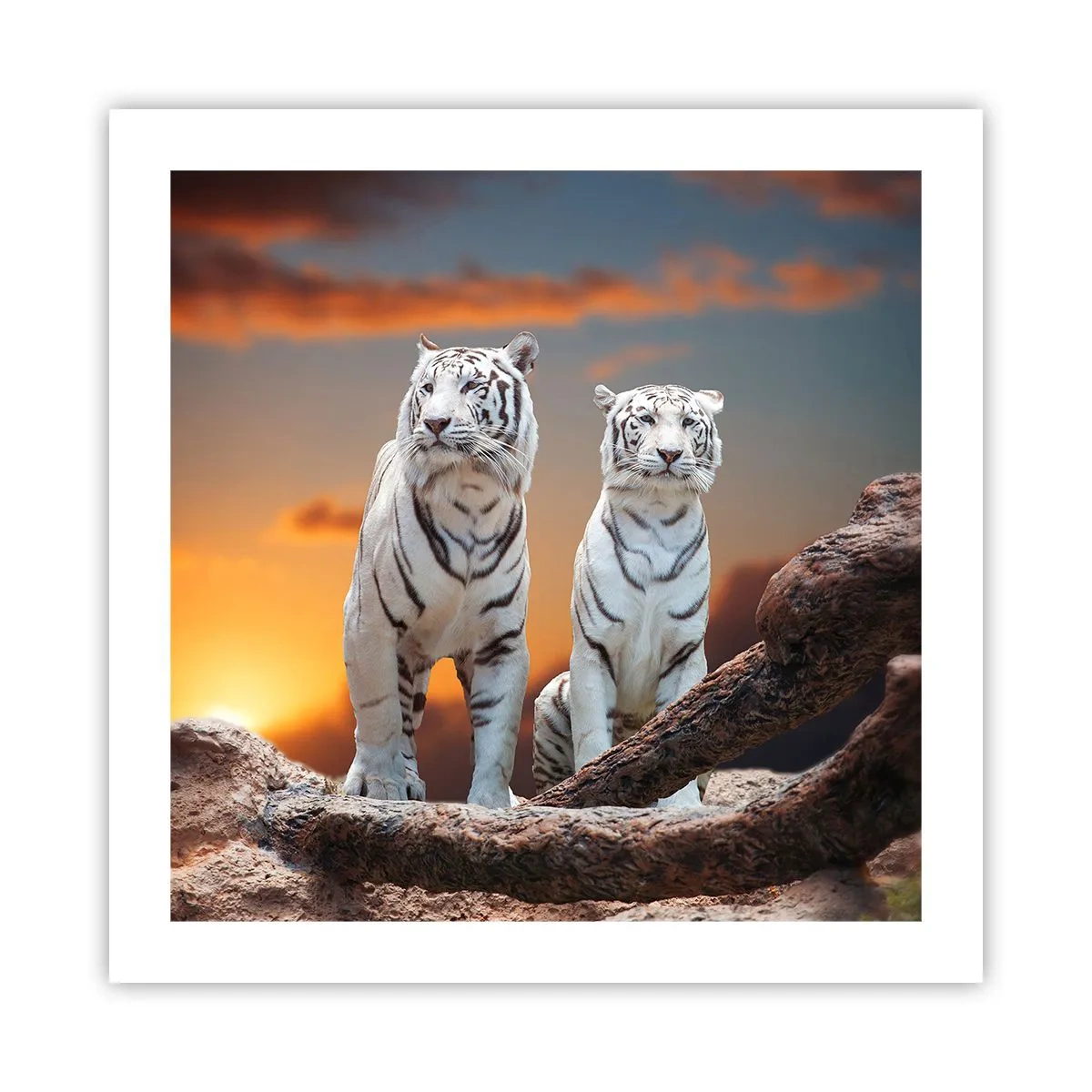 Poster - Proprio come a Narnia - 50x50 cm
