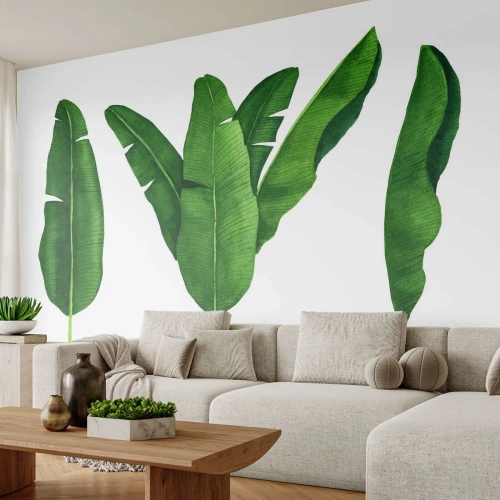 Fotomurale su misura Premium Sand - Simmetria verde - Foglia di banana, Tropicale, Stile botanico