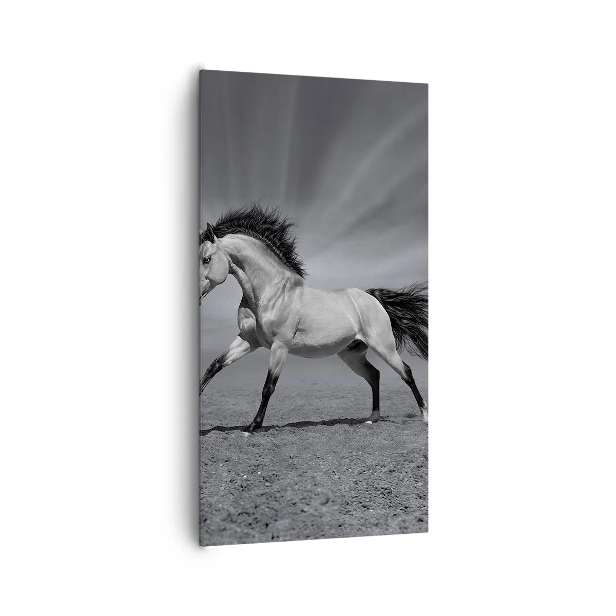 Quadro su tela - Stampe su Tela - Nato per affascinare - 65x120 cm