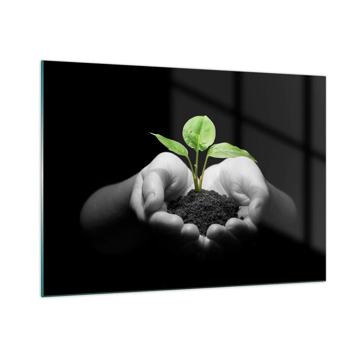 Quadro su vetro - Una giovane pianta tra le mani su uno sfondo nero - 100x70cm - Amo la natura, la proteggo - Decorazione murale moderna per soggiorno e camera da letto ARTTOR