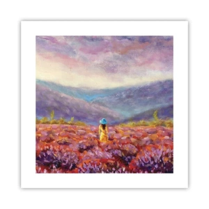 Poster - Nel mondo di lavanda - 40x40 cm