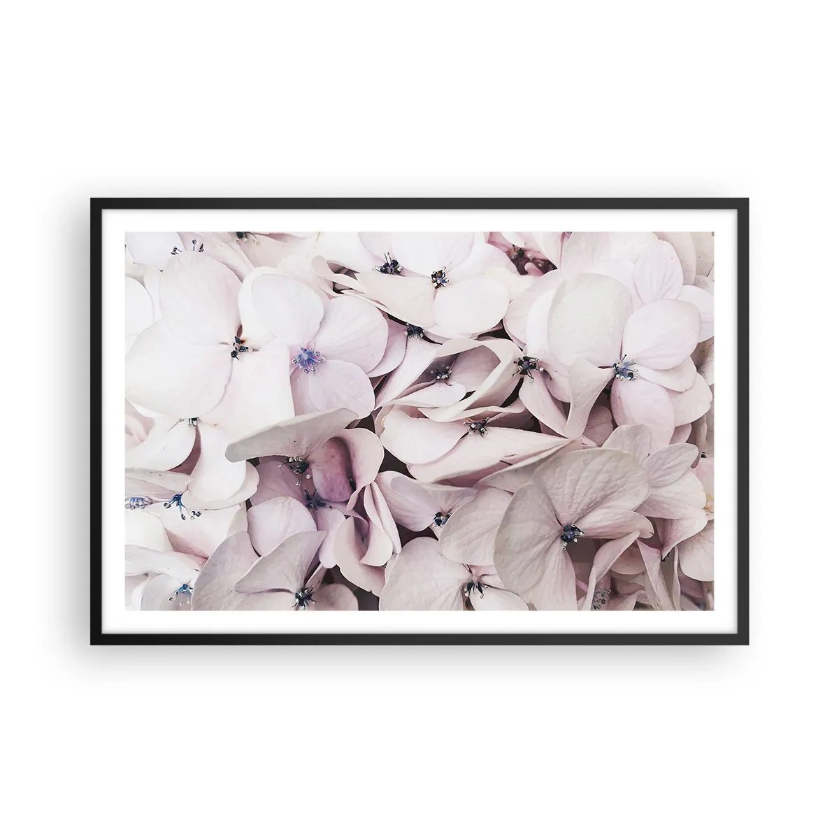 Poster in cornice nera - Un'alluvione di fiori - 91x61 cm
