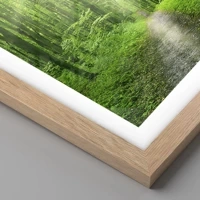 Rovere chiaro