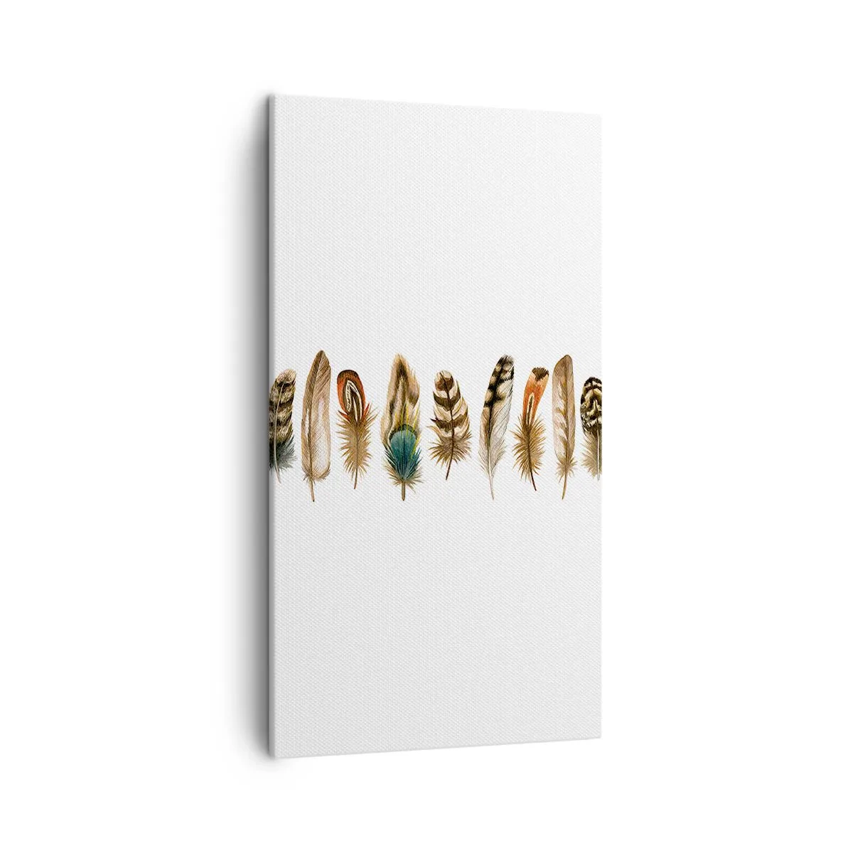 Quadro su tela - Stampe su Tela - Composizione di piume - 45x80 cm
