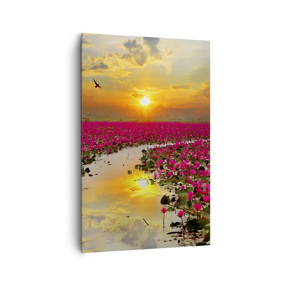 Quadro su tela - Stampe su Tela - Un campo di ninfee rosa al tramonto - 80x120cm - La vita segreta del lago - Decorazione murale moderna per soggiorno e camera da letto ARTTOR