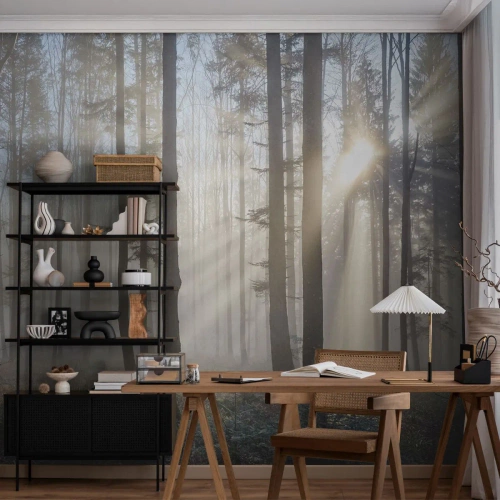 Fotomurali Premium Canvas - Anche la nebbia si è svegliata - Paesaggio, foresta, Nebbia - 250x175 cm