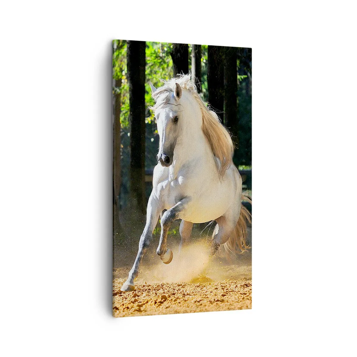 Quadro su tela - Stampe su Tela - Come nei racconti fantasy - 45x80 cm
