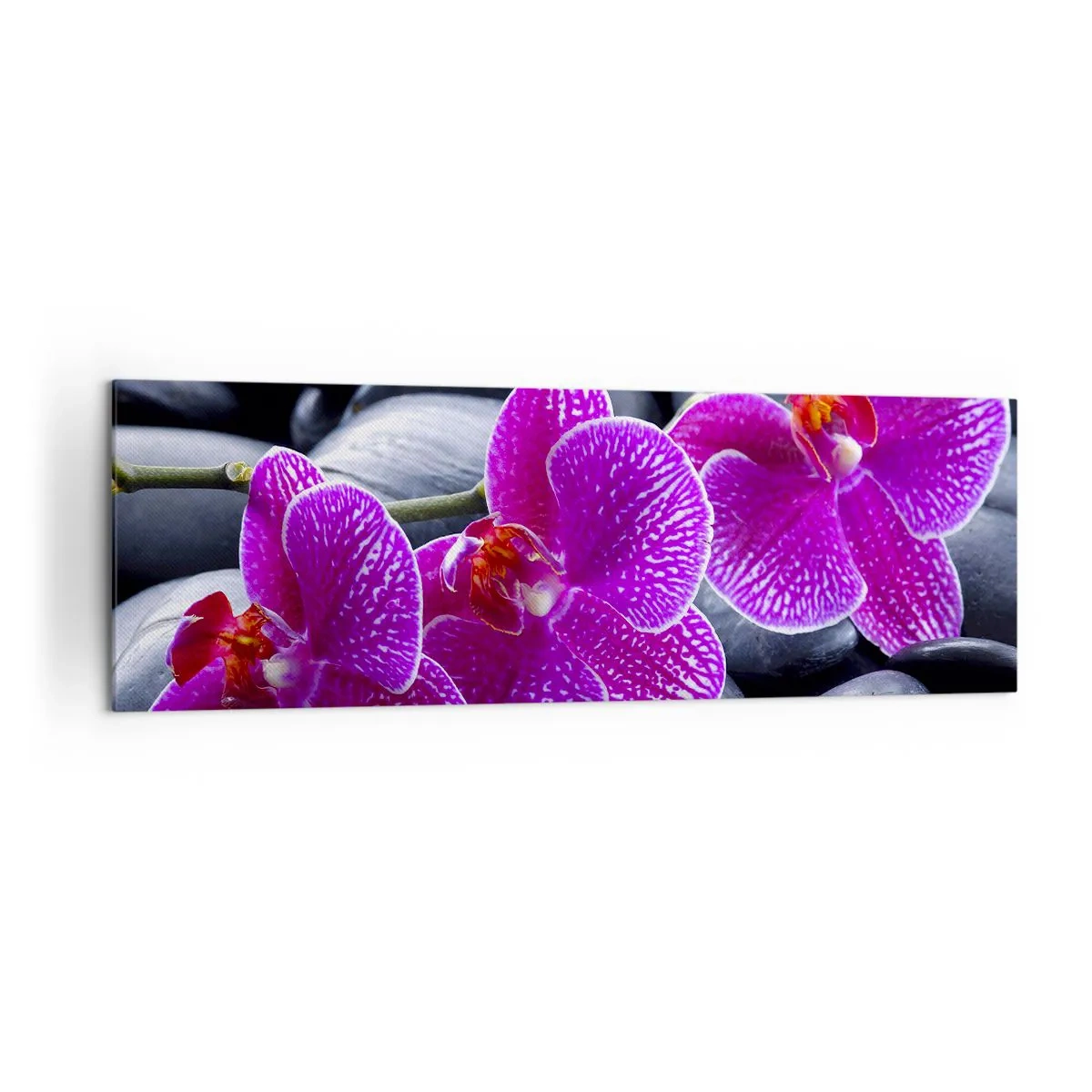 Quadro su tela - Stampe su Tela - Orchidee viola su uno sfondo di pietre nere - 160x50cm - Le pietre brillano di ammirazione - Decorazione murale moderna per soggiorno e camera da letto ARTTOR