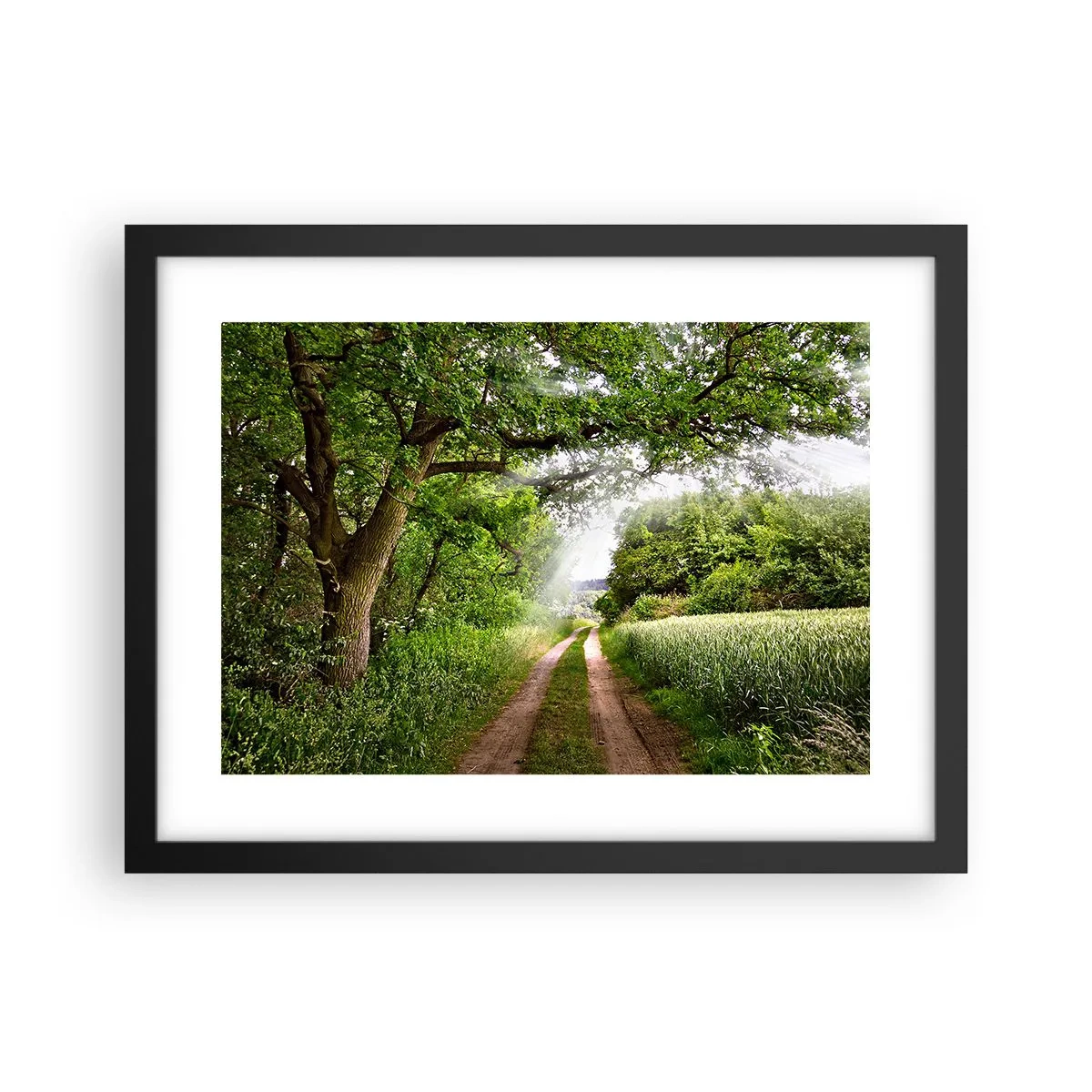 Poster in cornice nera - Et in Arcadia ego - 40x30 cm