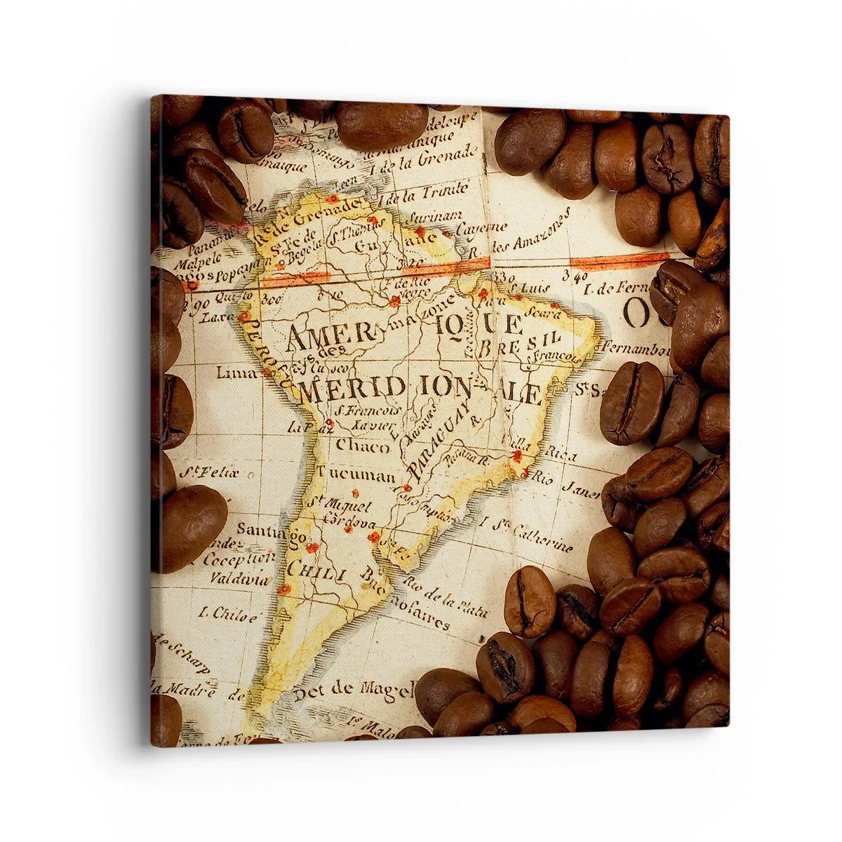 Quadro su tela - Stampe su Tela - Da dove viene il miglior caffè? - 40x40 cm