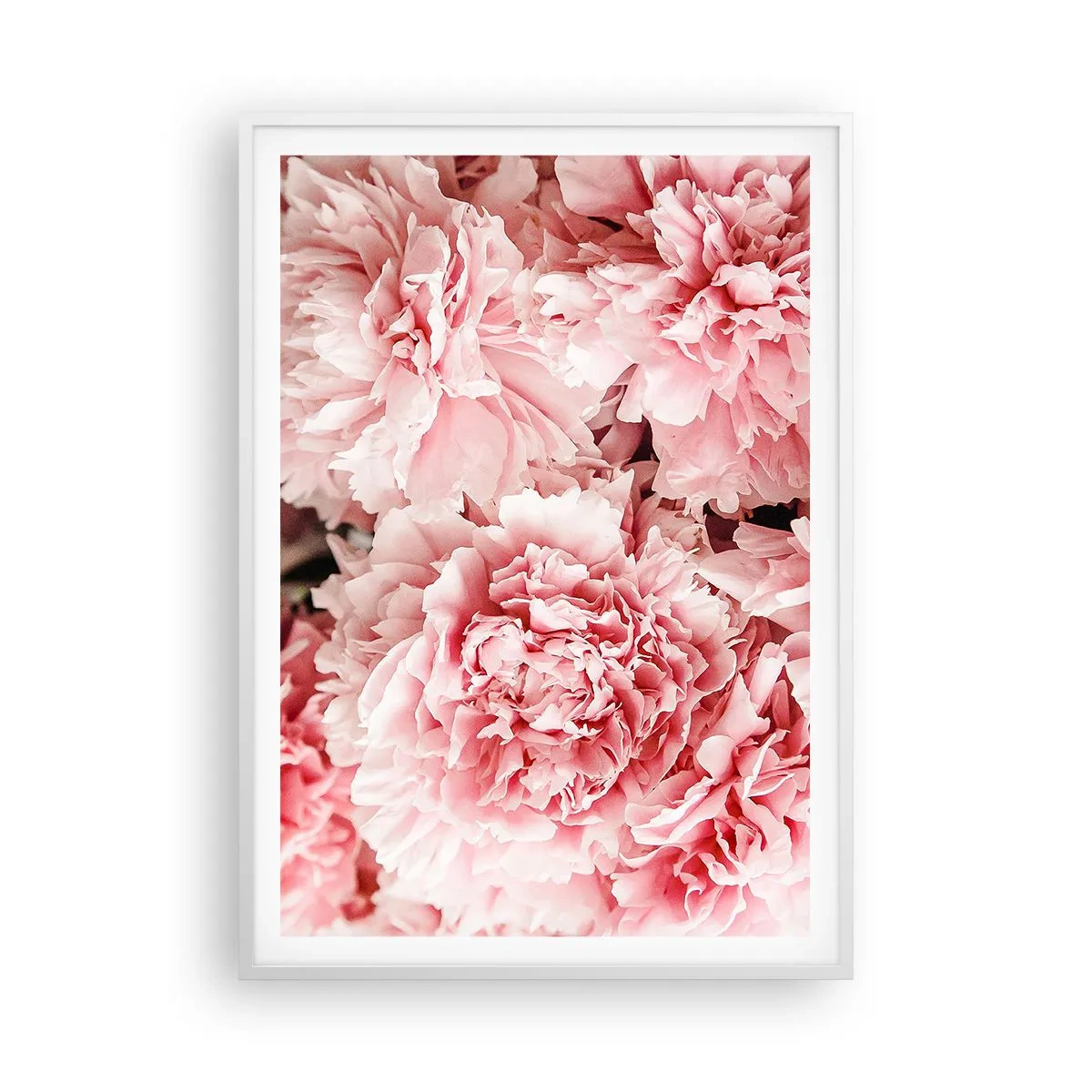 Poster in cornice bianca - Sogno rosa - 70x100 cm