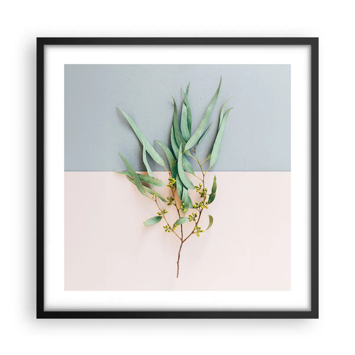 Poster in cornice nera - Delicatezza pastello - 50x50 cm