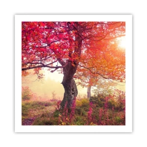 Poster - L'esplosione della fioritura - 60x60 cm