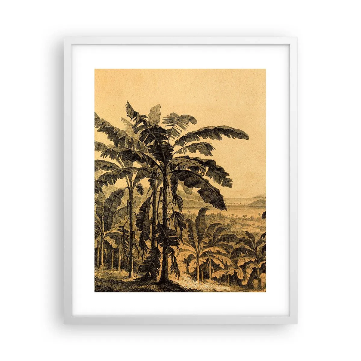 Poster in cornice bianca - Nel clima coloniale - 40x50 cm