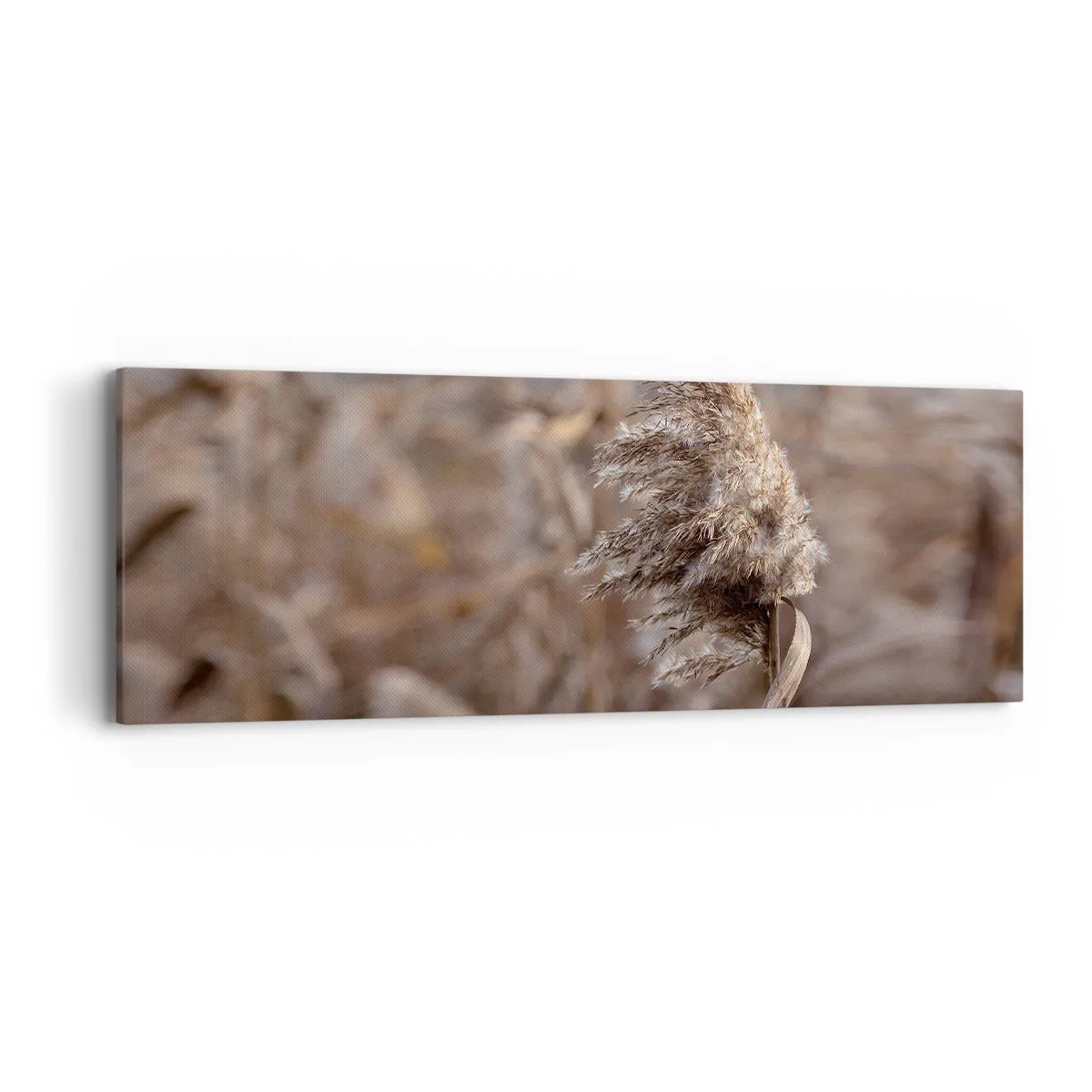 Quadro su tela - Stampe su Tela - è tempo di volare col vento - 90x30 cm