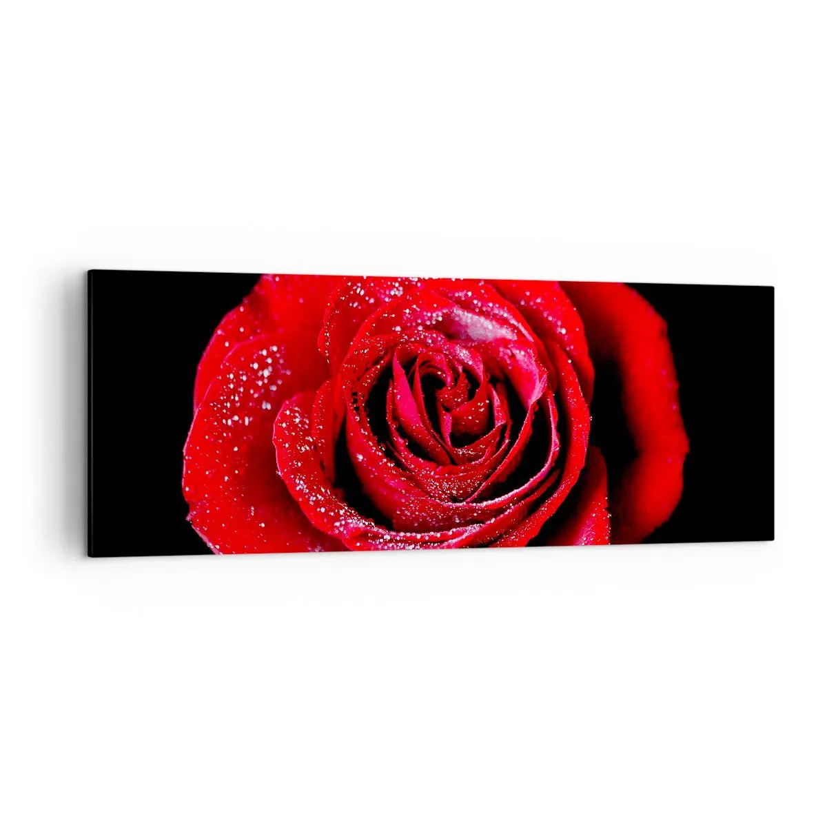 Quadro su tela - Stampe su Tela - Una rosa rossa ricoperta di gocce di rugiada su uno sfondo nero. - 140x50cm - Ecco l'amore - Decorazione murale moderna per soggiorno e camera da letto ARTTOR