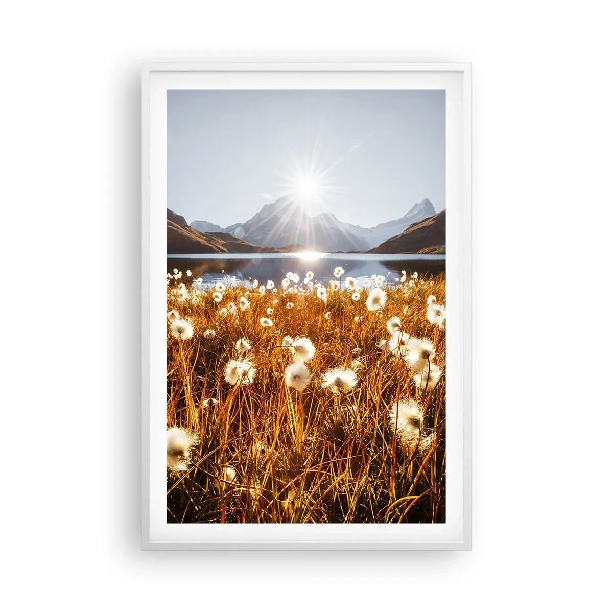 Poster in cornice bianca - Durezza delle pietre, morbidezza dell'erba - 61x91 cm