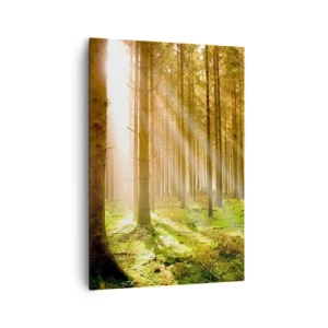 Quadro su tela - Stampe su Tela - Foresta di conifere con raggi di sole che brillano attraverso gli alberi - 70x100cm - Adesso appaiono gli elfi - Decorazione murale moderna per soggiorno e camera da letto ARTTOR