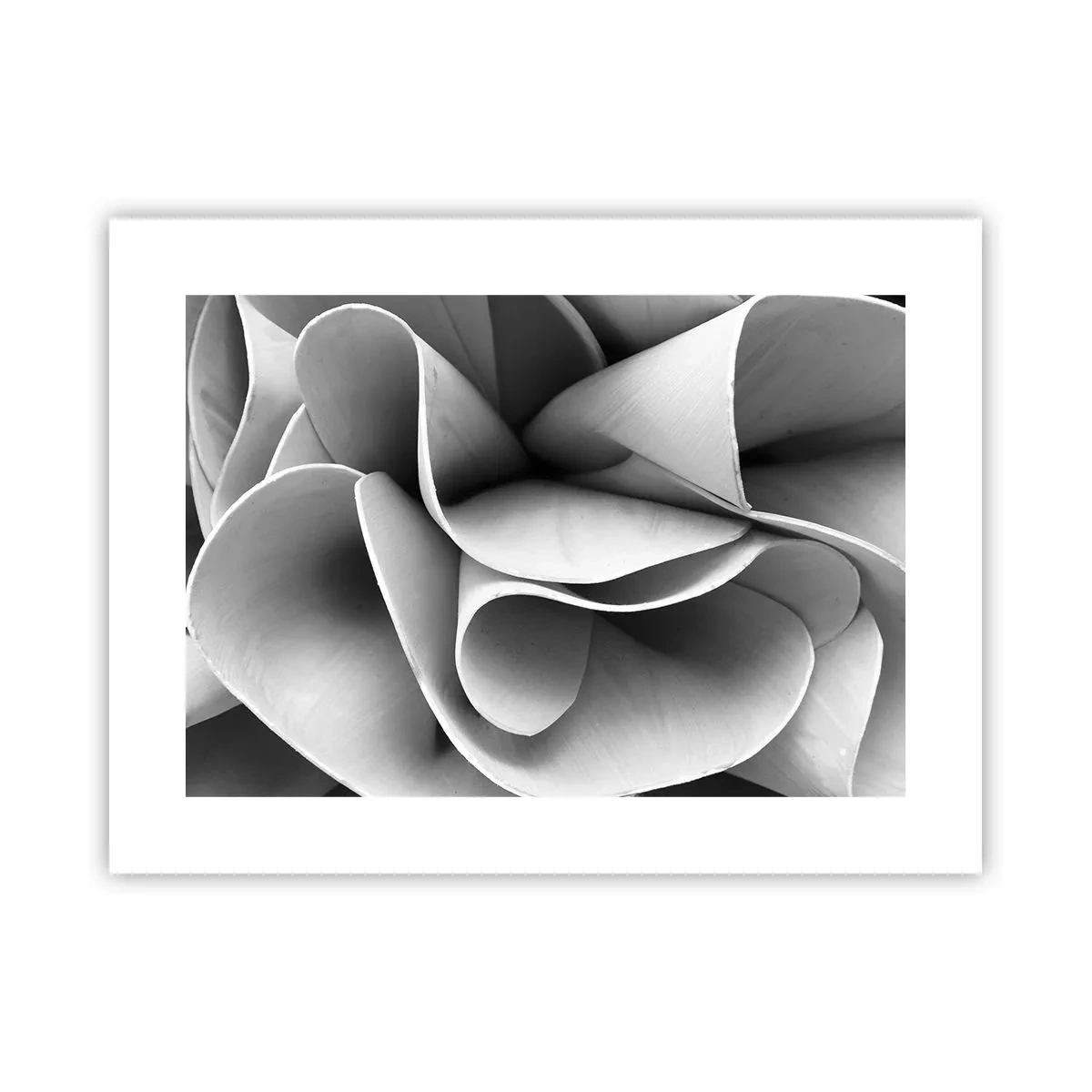 Poster - Avviene nello spazio - 40x30 cm