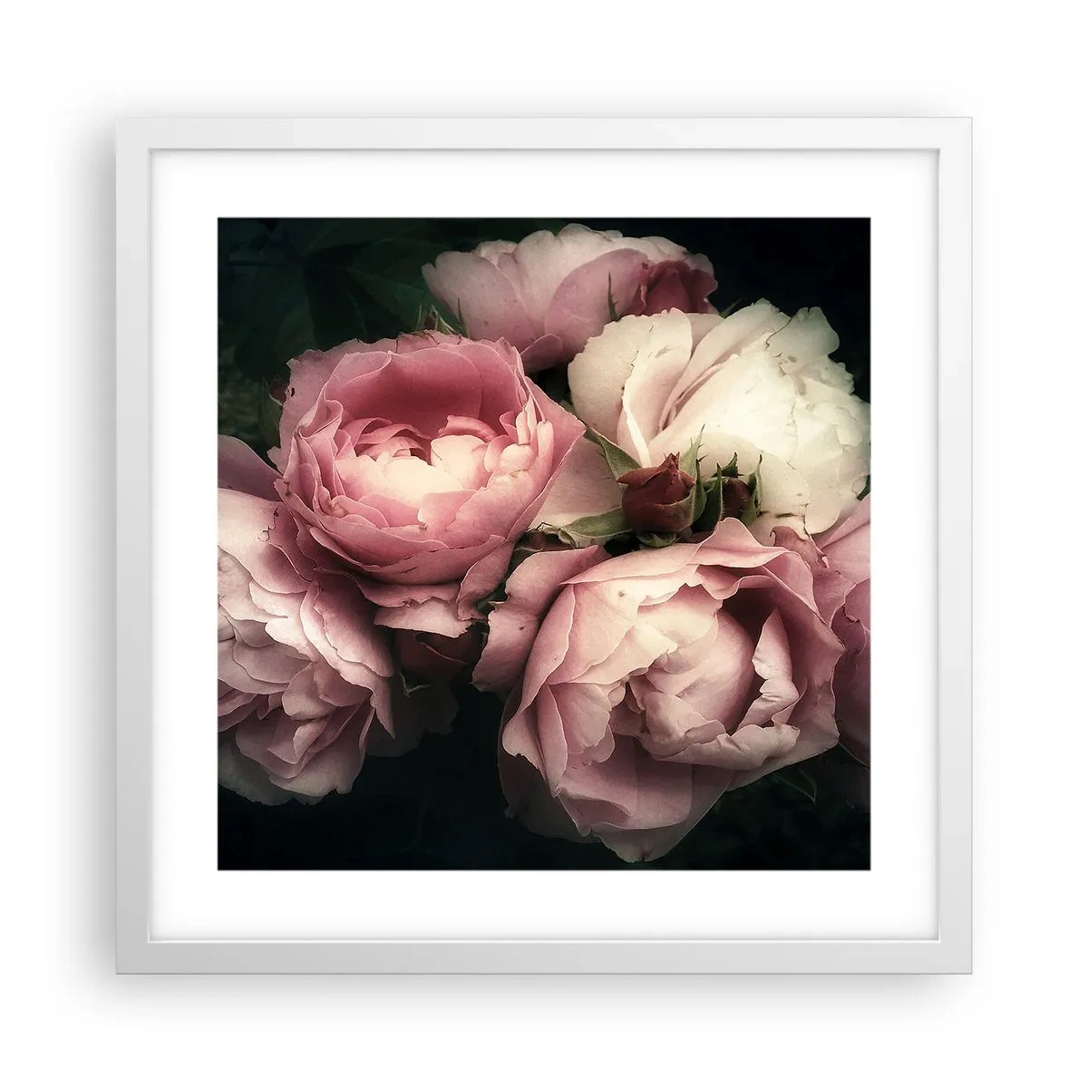 Poster in cornice bianca - Il fascino della Belle Époque - 40x40 cm