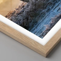 Rovere chiaro