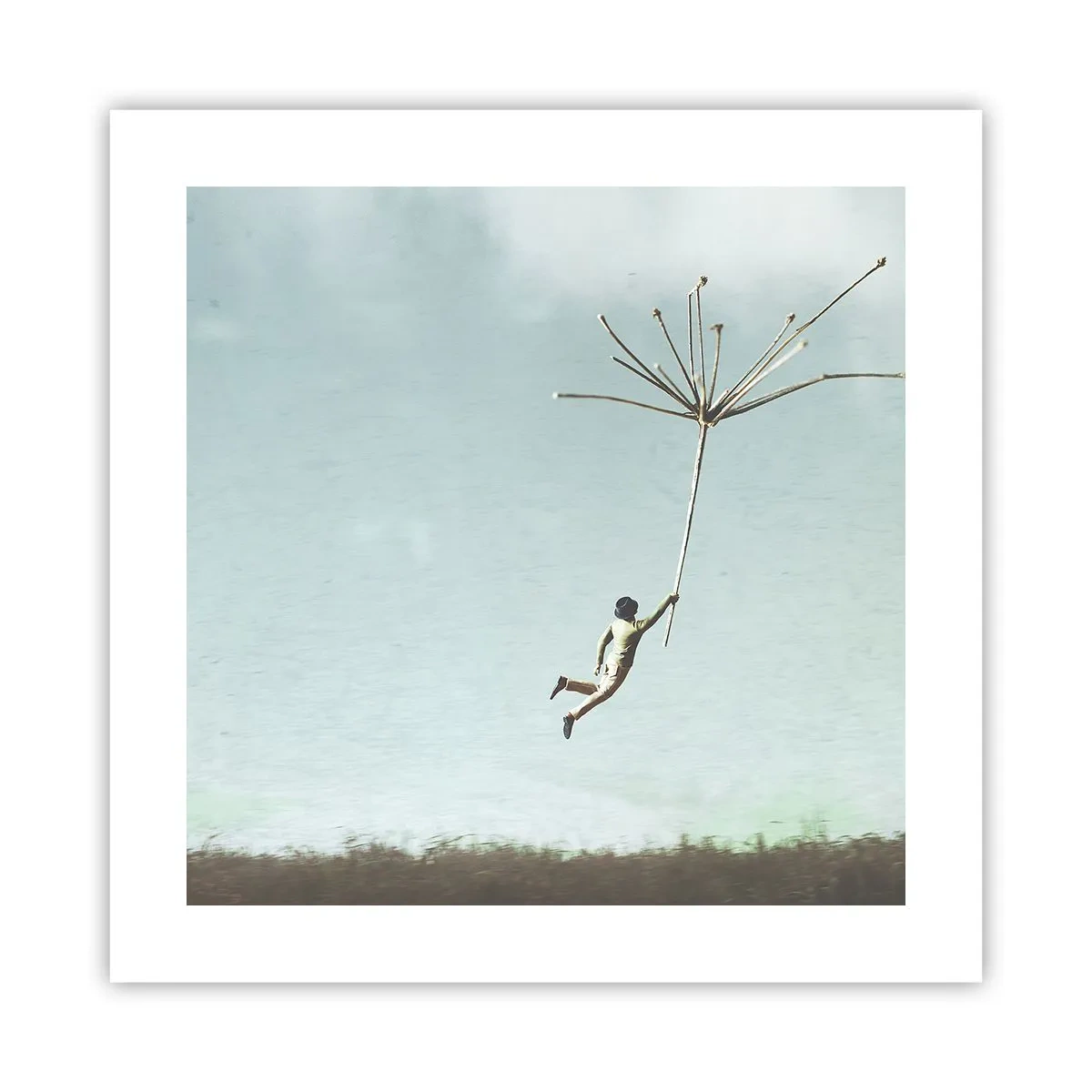 Poster - Aquiloni, denti di leone, vento - 40x40 cm