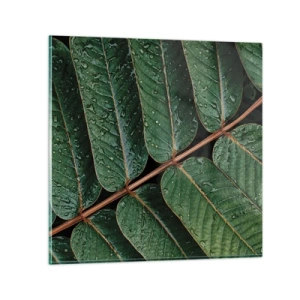 Quadro su vetro - Al ritmo verde - 70x70 cm