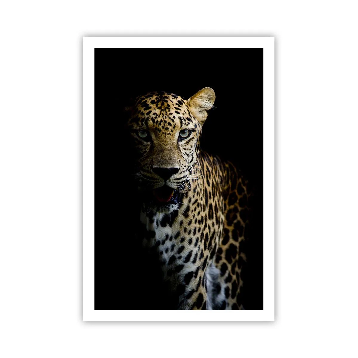 Poster - Bellezza tenebrosa - 61x91 cm