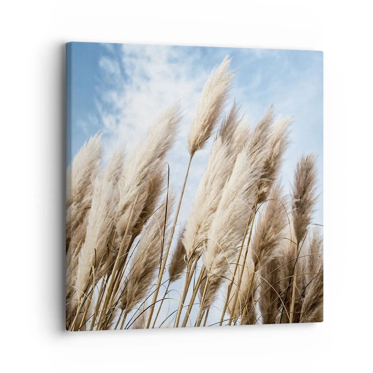 Quadro su tela - Stampe su Tela - Le carezze del sole e del vento - 30x30 cm