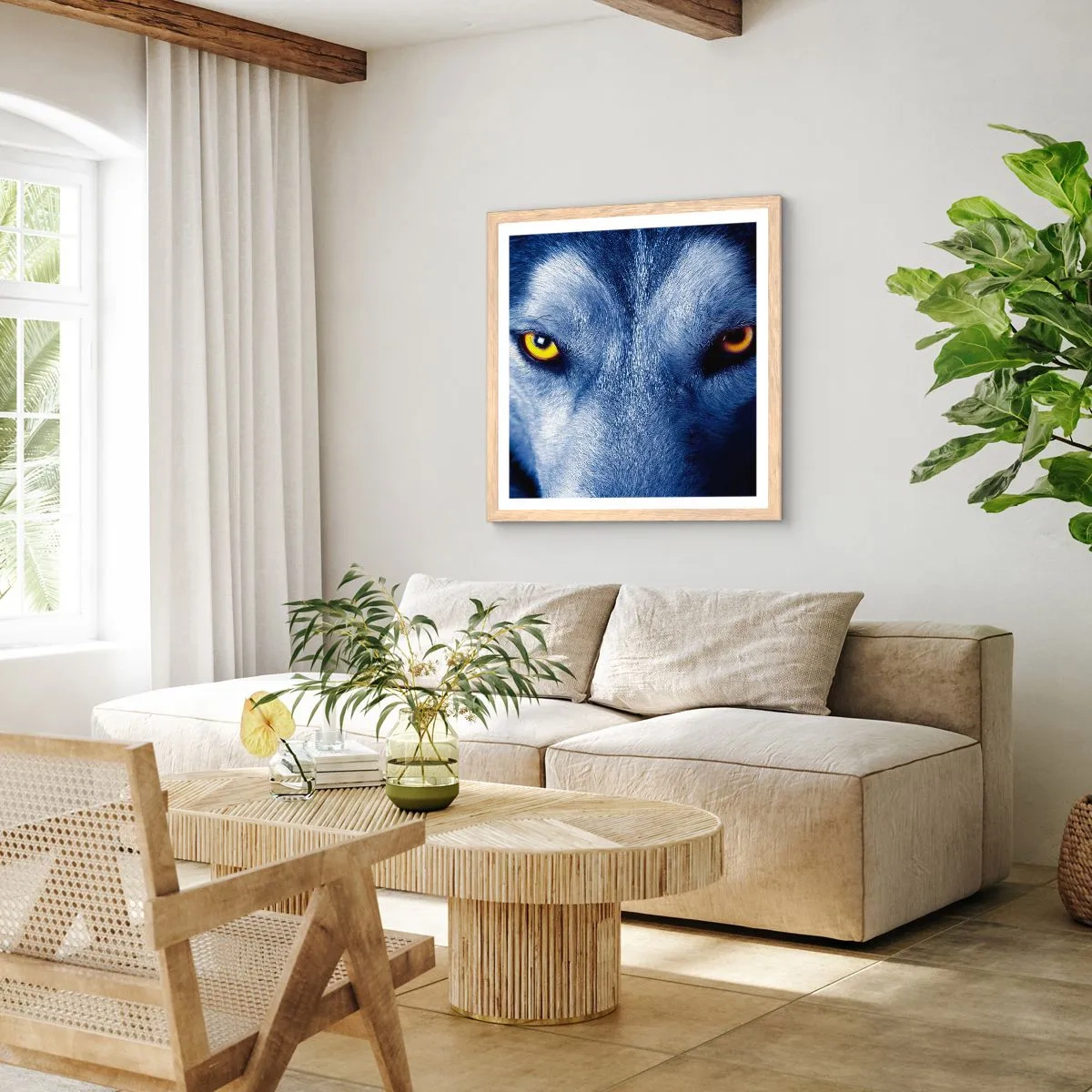 Poster in cornice rovere chiaro - Sguardo ipnotico - 50x50 cm
