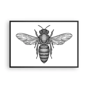 Poster in cornice nera - Ritratto d'insetto - 91x61 cm