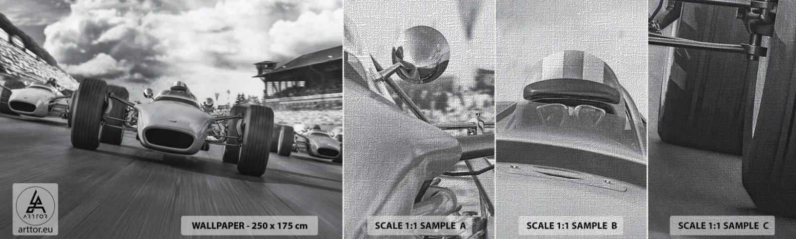 Campione di Fotomurale Premium Canvas - C'è la forza! - Formula 1, Veicolo, Gara - 100x30 cm