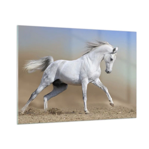 Quadro su vetro - Un cavallo bianco che galoppa sul terreno sabbioso - 100x70cm - La più bella favola araba - Decorazione murale moderna per soggiorno e camera da letto ARTTOR