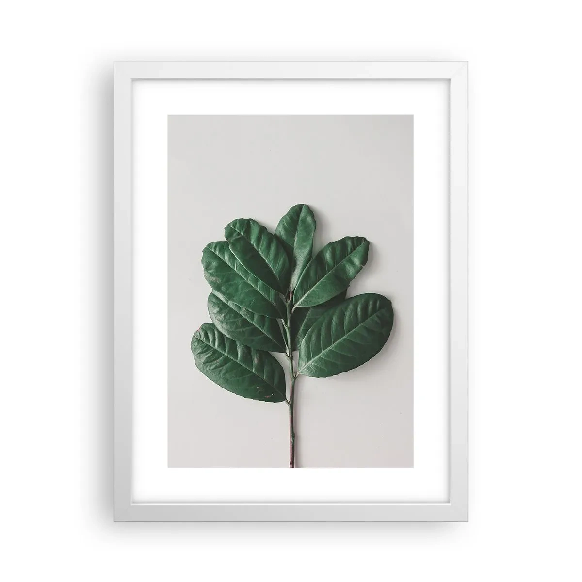 Poster in cornice bianca - Il disegno della natura stessa - 30x40 cm