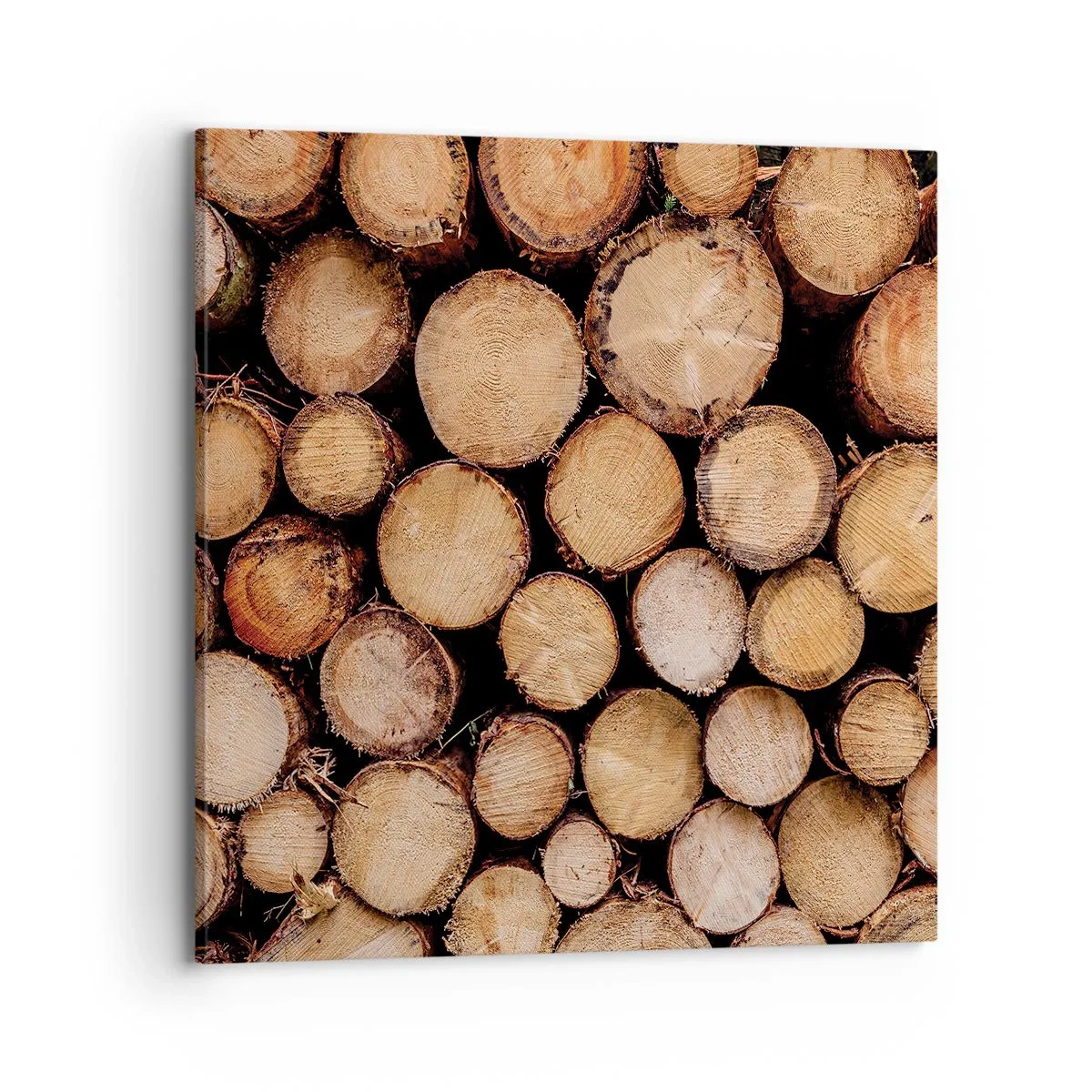 Quadro su tela - Stampe su Tela - Nuovo inizio - 70x70 cm