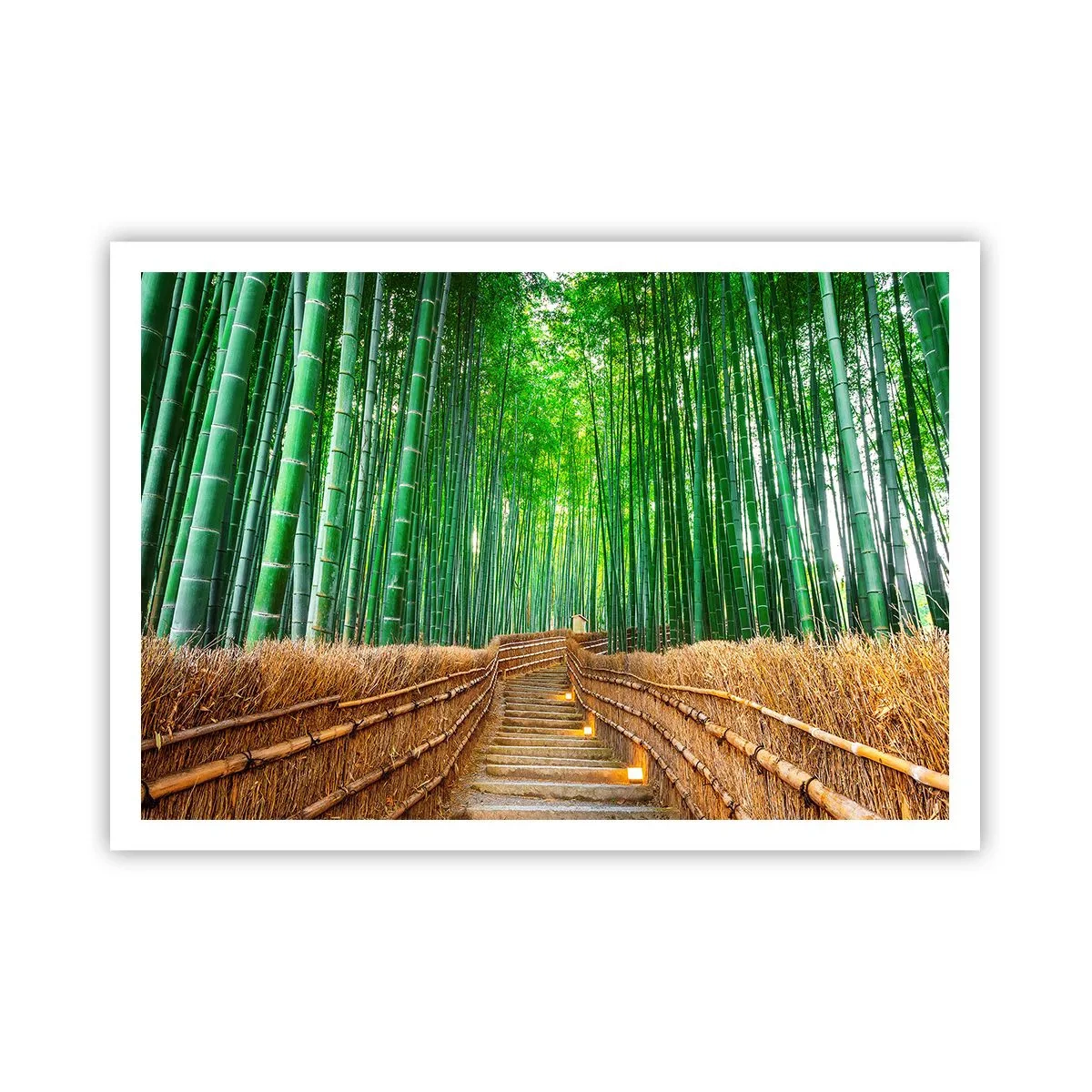 Poster - Un sentiero in una fitta foresta di bambù - 100x70cm - Essenza della natura asiatica - Decorazione murale moderna per soggiorno e camera da letto ARTTOR