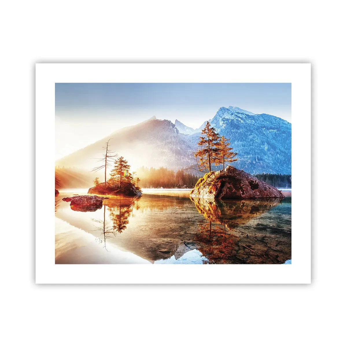 Poster - La natura in una nuova luce - 50x40 cm