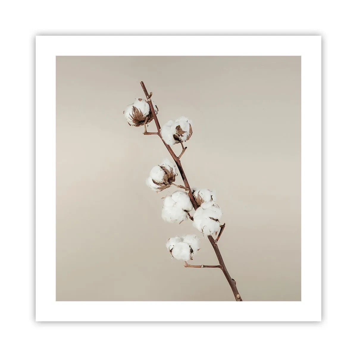 Poster - Alla fonte della morbidezza - 50x50 cm