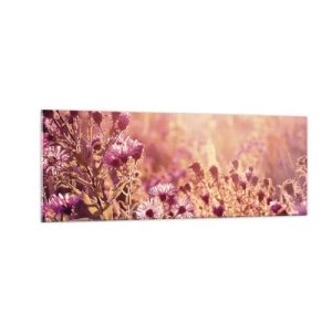 Quadro su vetro - Prato alla luce del sole al tramonto - 140x50cm - Prima della fine dell'estate - Decorazione murale moderna per soggiorno e camera da letto ARTTOR