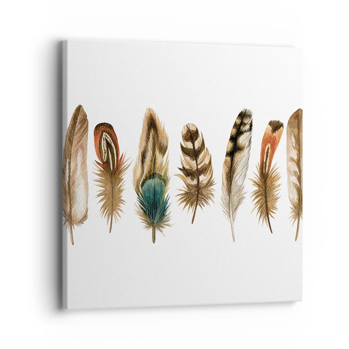 Quadro su tela - Stampe su Tela - Composizione di piume - 40x40 cm