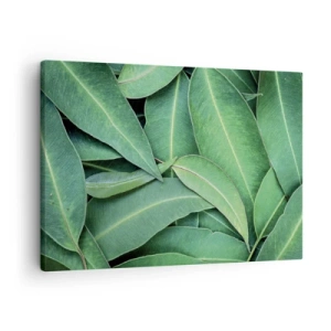 Quadro su tela - Stampe su Tela - Primo piano di foglie verdi che creano un motivo naturale - 70x50cm - Succosi e freschi - Decorazione murale moderna per soggiorno e camera da letto ARTTOR