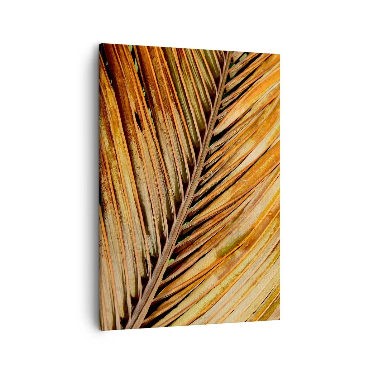 Quadro su tela - Stampe su Tela - Primo piano di una foglia di palma secca in toni caldi - 50x70cm - Oro di cocco - Decorazione murale moderna per soggiorno e camera da letto ARTTOR