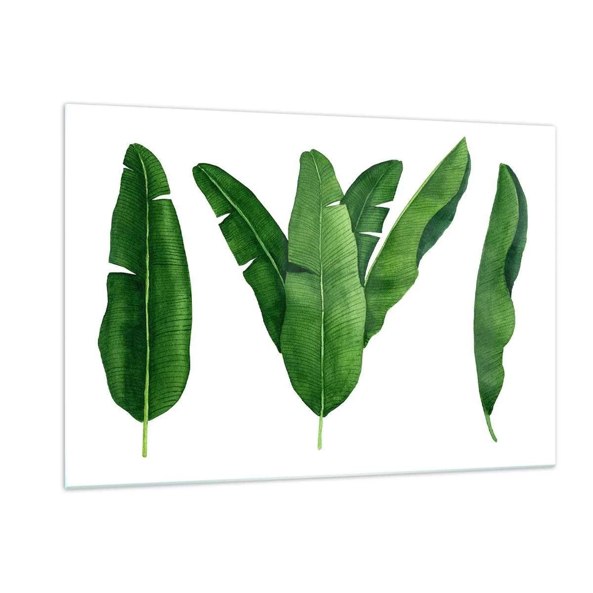 Quadro su vetro - Quattro foglie di banano verde su sfondo bianco - 120x80cm - Simmetria verde - Decorazione murale moderna per soggiorno e camera da letto ARTTOR
