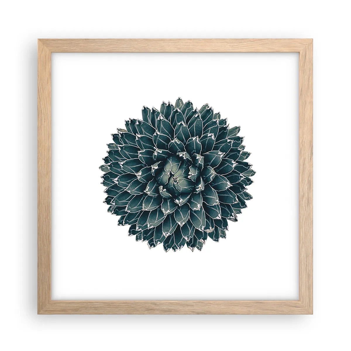 Poster in cornice rovere chiaro - La stella del deserto - 30x30 cm
